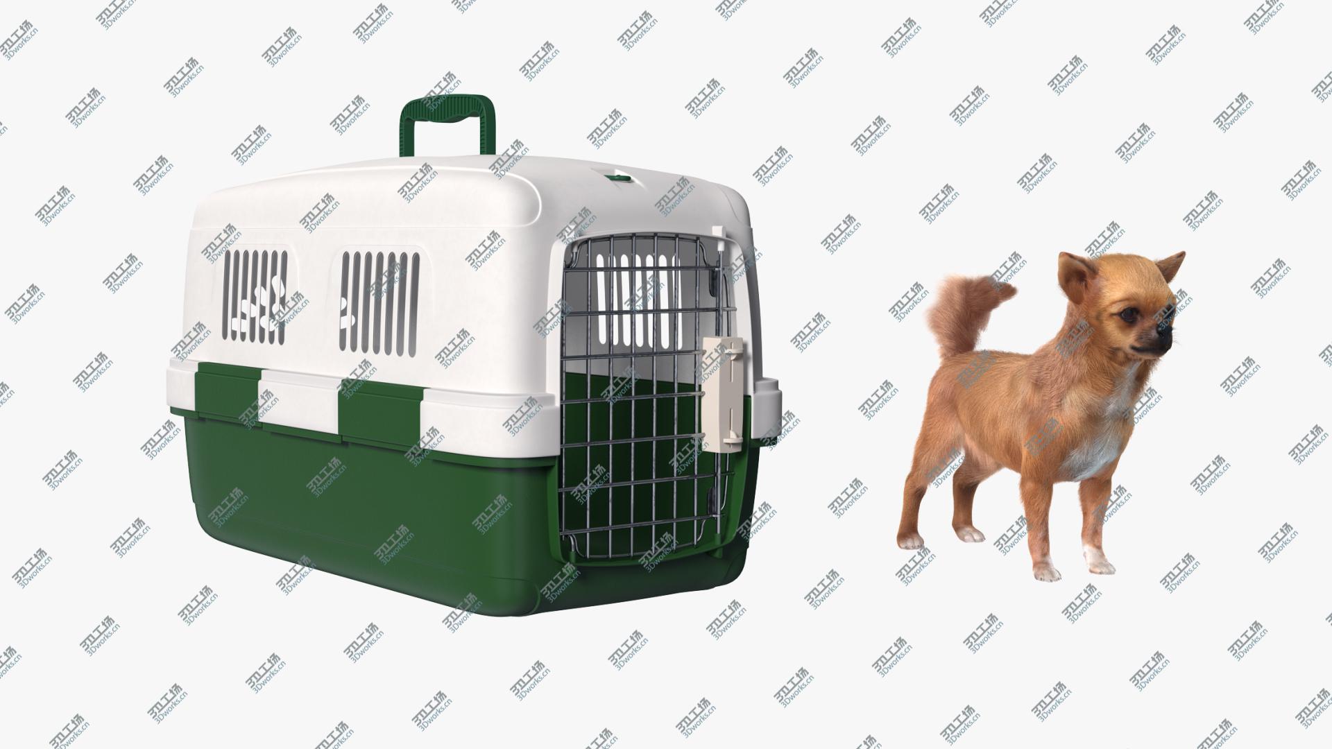 images/goods_img/20210319/Chihuahua in the Pet Carrier with Fur 3D model/2.jpg